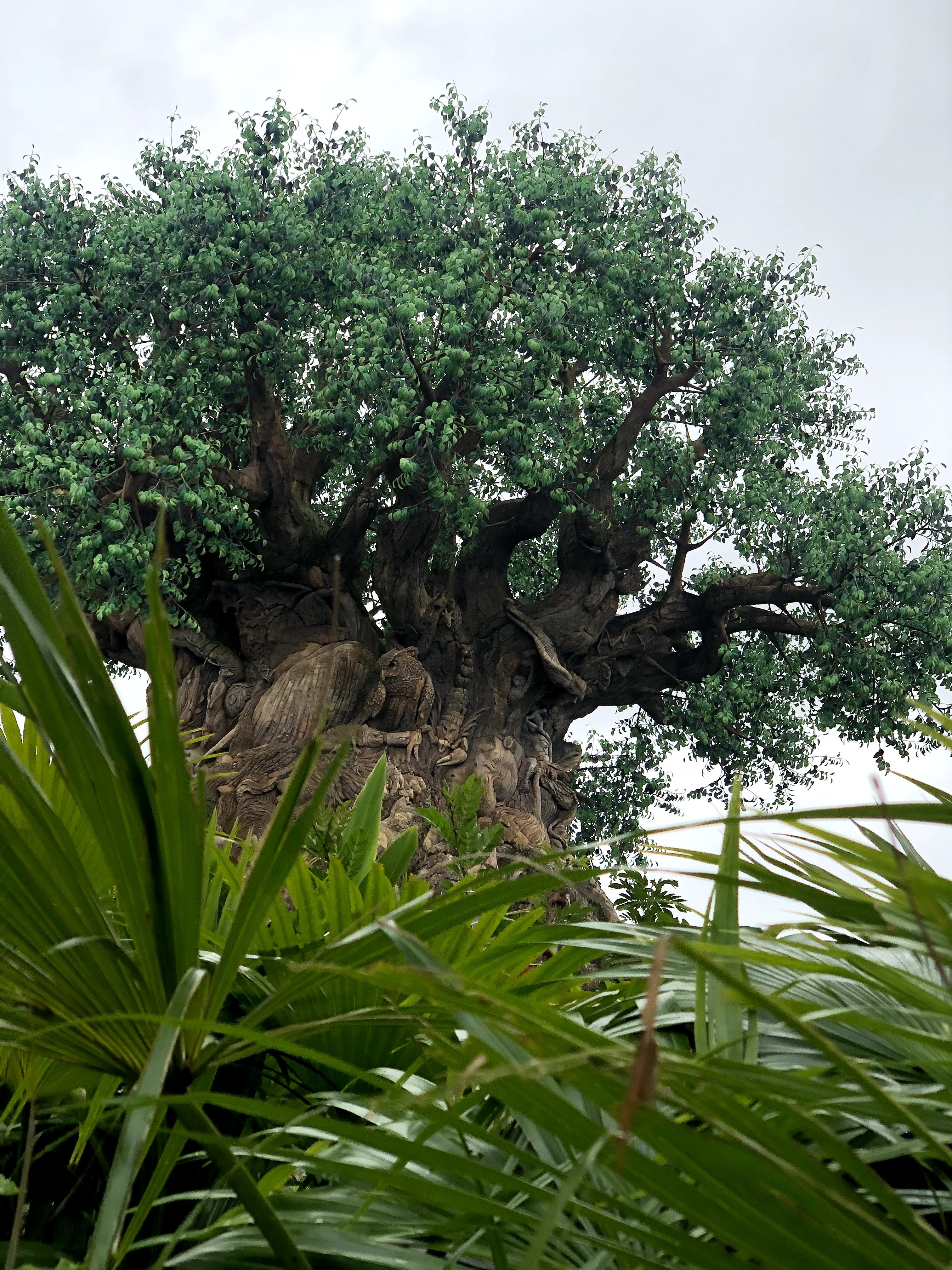 christmas at disney world, disney world christmas, walt disney world holidays, disney world christmas decorations, magic kingdom christmas, epcot festival of the holidays, disney christmas parade, disney world christmas lights, disney world christmas tree, disney christmas fireworks, mickey’s very merry christmas party, disney world holiday season, disney world in december, disney christmas snacks, disney christmas merch, disney world winter, best time to visit disney world at christmas, disney world holiday magic, hollywood studios christmas, animal kingdom christmas, disney world new year’s eve, disney world christmas crowds, disney world christmas tips, disney christmas photo spots, christmas at magic kingdom, disney resorts christmas decorations, disney world christmas instagram, disney world holiday travel, disney parks christmas, disney christmas vacation, disney holiday celebration, disney world snow on main street, best disney resorts for christmas, disney world holiday magic shots, disney world christmas guide