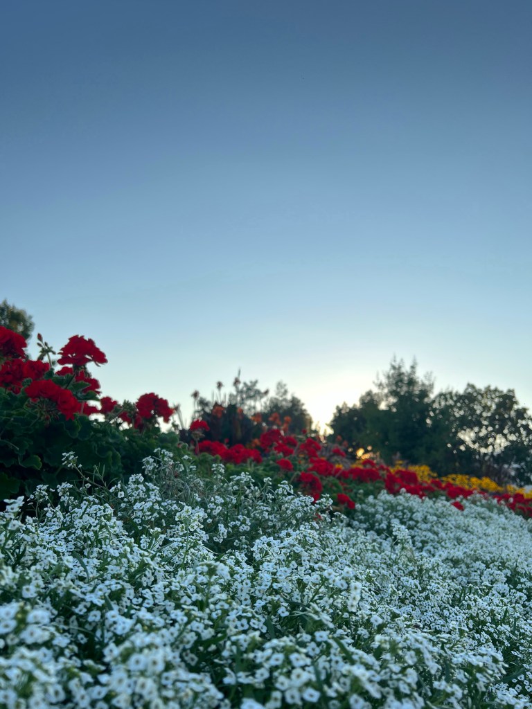 kelowna, kelowna bc, things to do in kelowna, kelowna city, downtown kelowna, activities in kelowna, okanagan, kelowna in spring, golf in kelowna, sports in kelowna, shopping in kelowna, places to eat in kelowna, parks in kelowna, bc,bc parks, bc things to do, best things to do in kelowna, kelowna hiking, hiking in kelowna, best hikes in kelowna,